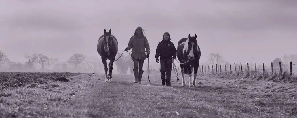 People walking with two horses across a frosty field, in a purple-toned photo