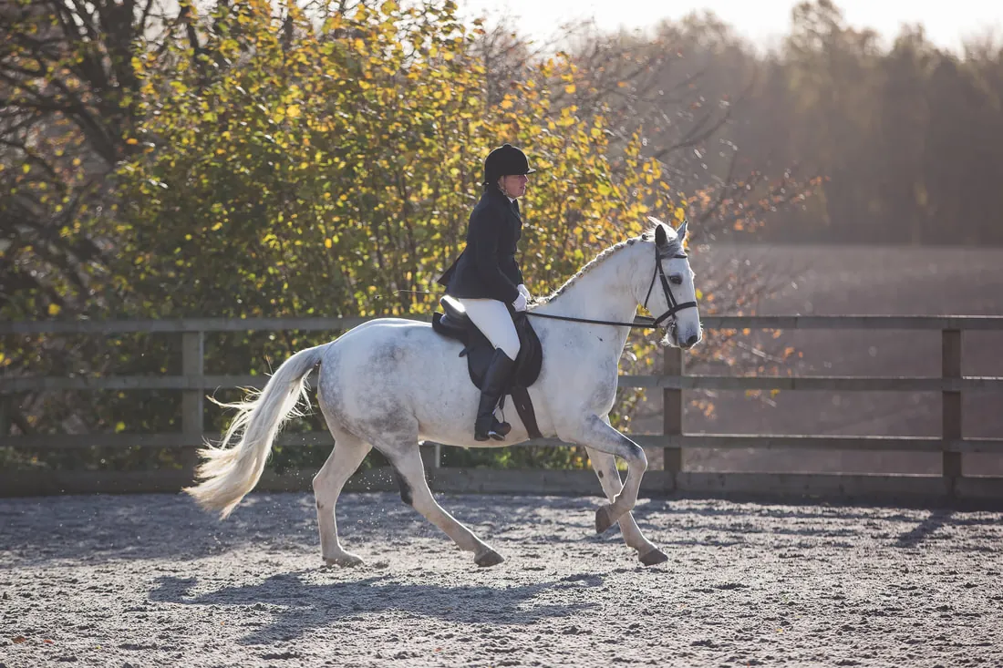 A rider on a grey horse in the menage, with autumn trees behind