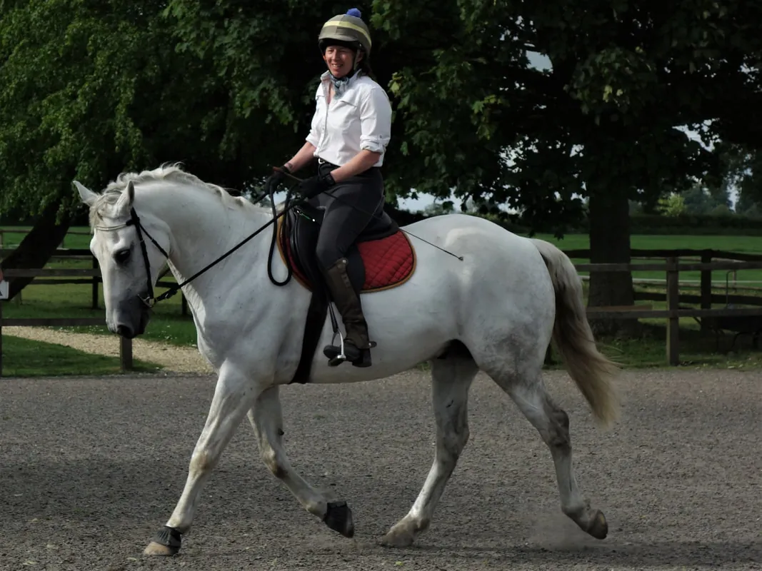 A grey horse being ridden in the menage