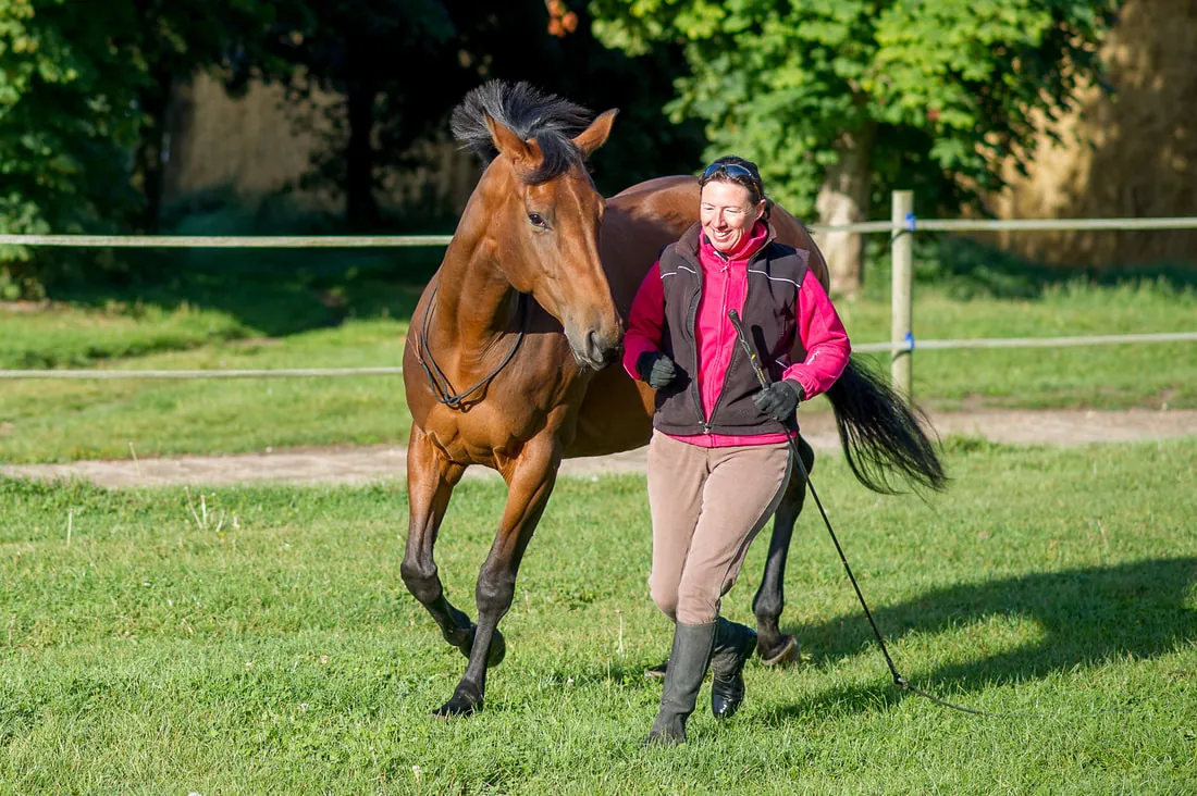 A coach walking beside a bay horse on a long rope in a paddock