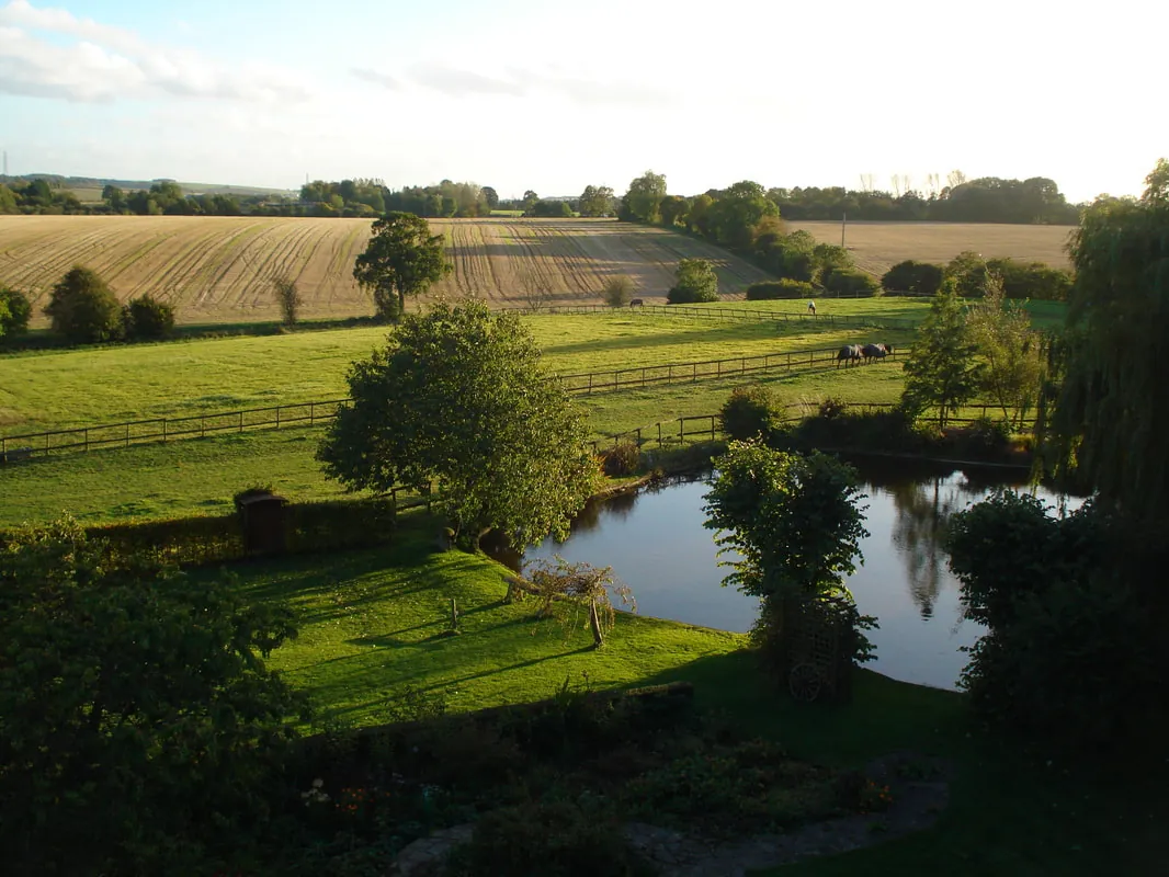 Paddocks, a pond and trees on the farm, with fields stretching to the horizon