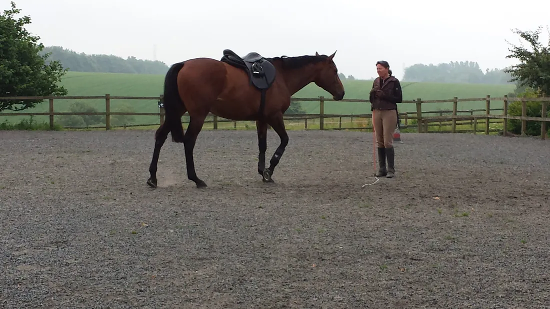 A saddled bay horse standing in the menage beside a woman