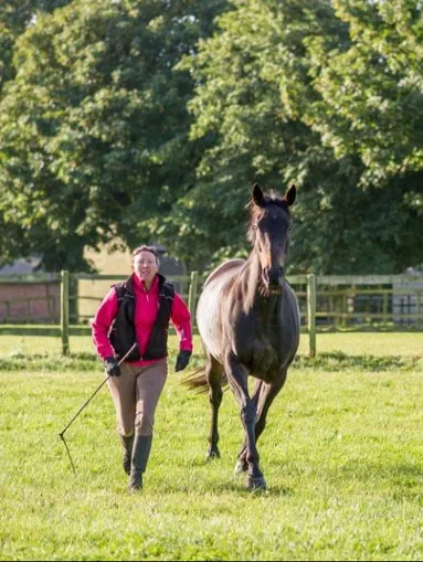 A coach in a pink jacket leading a dark bay horse across a paddock