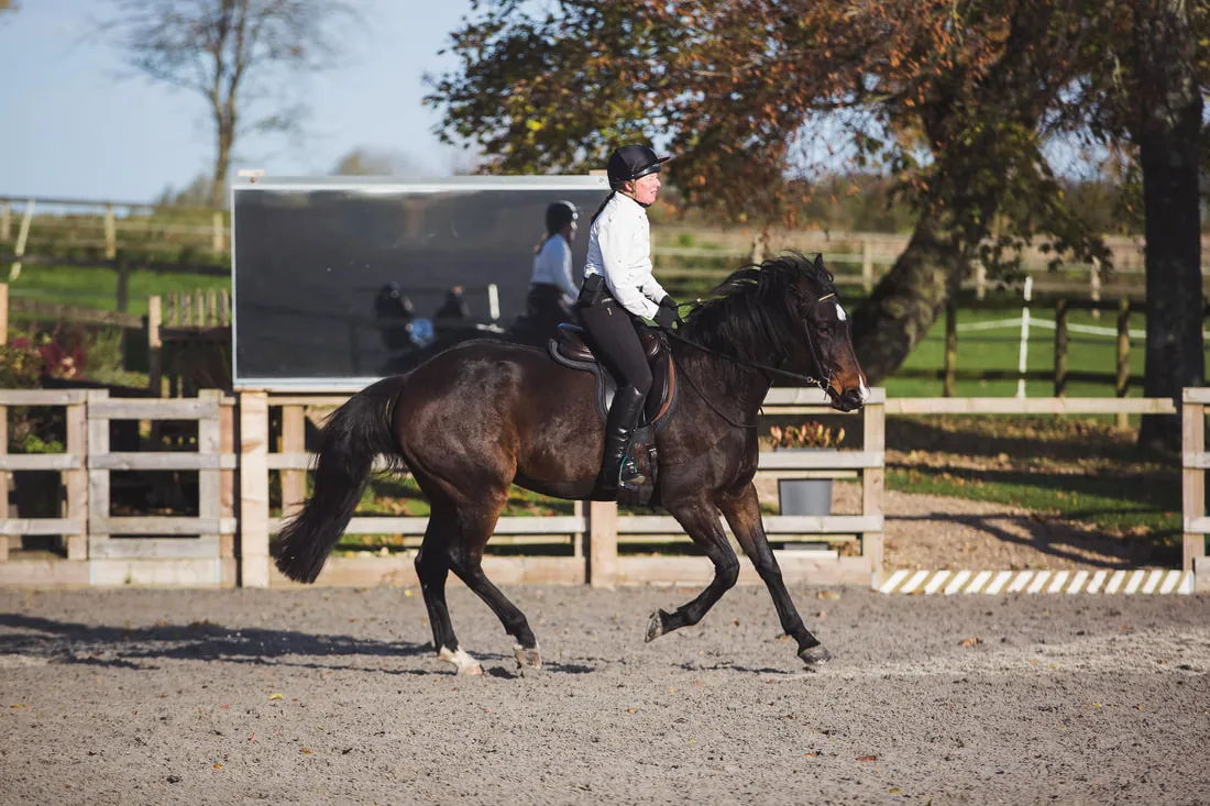 A rider on a dark bay horse in the menage on a training day